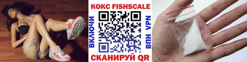 COCAIN Fish Scale  где продают наркотики  Няндома 