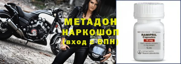 шишки Белокуриха