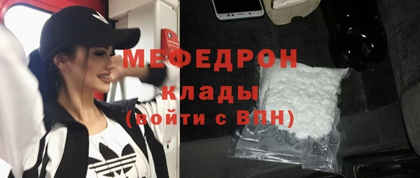 шишки Белокуриха