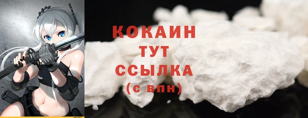 шишки Белокуриха