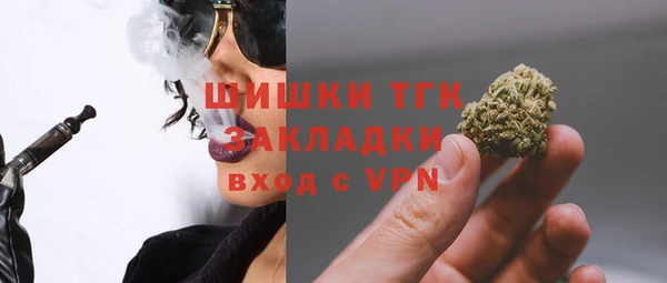 шишки Белокуриха