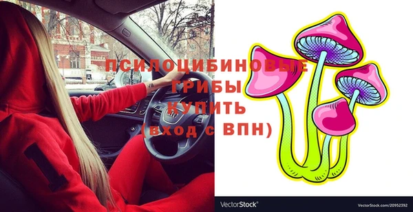 шишки Белокуриха