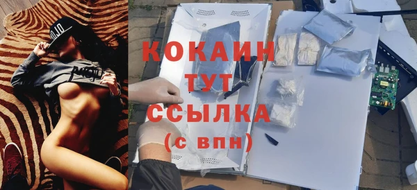 шишки Белокуриха