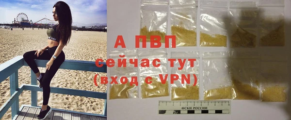 шишки Белокуриха