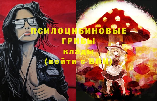 прущие грибы Белоозёрский