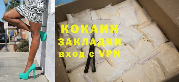 шишки Белокуриха